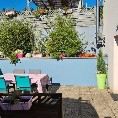 Le Cocon - Et Sauna Privatif En Centre Alsace