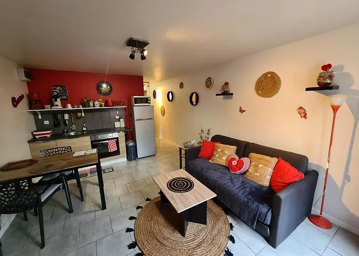 Le Cocon - Gite Spa Et Sauna Privatif En Centre Alsace Apartment *